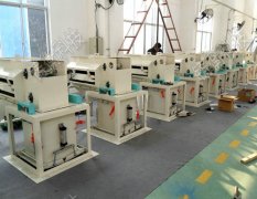 50kg�w���������b�C���a�̃r��